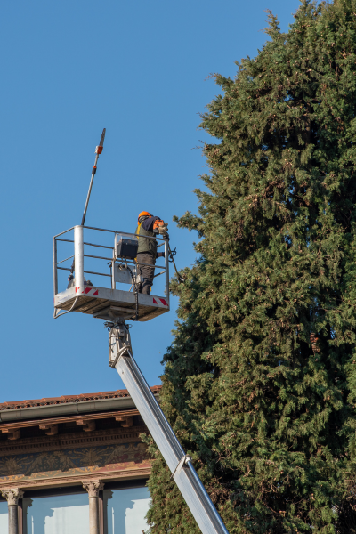 Tree Pruning